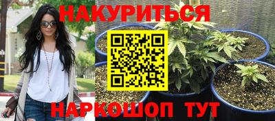 эйфоретик Кимры