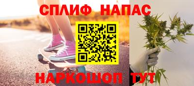 мяу мяу мука Кингисепп